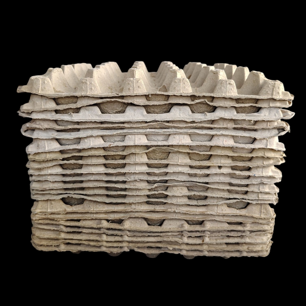 Eco-Friendly Recycled Paper Egg Cartons
